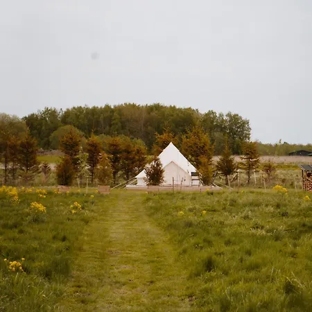 Mardi Talu Glamping * Paekna